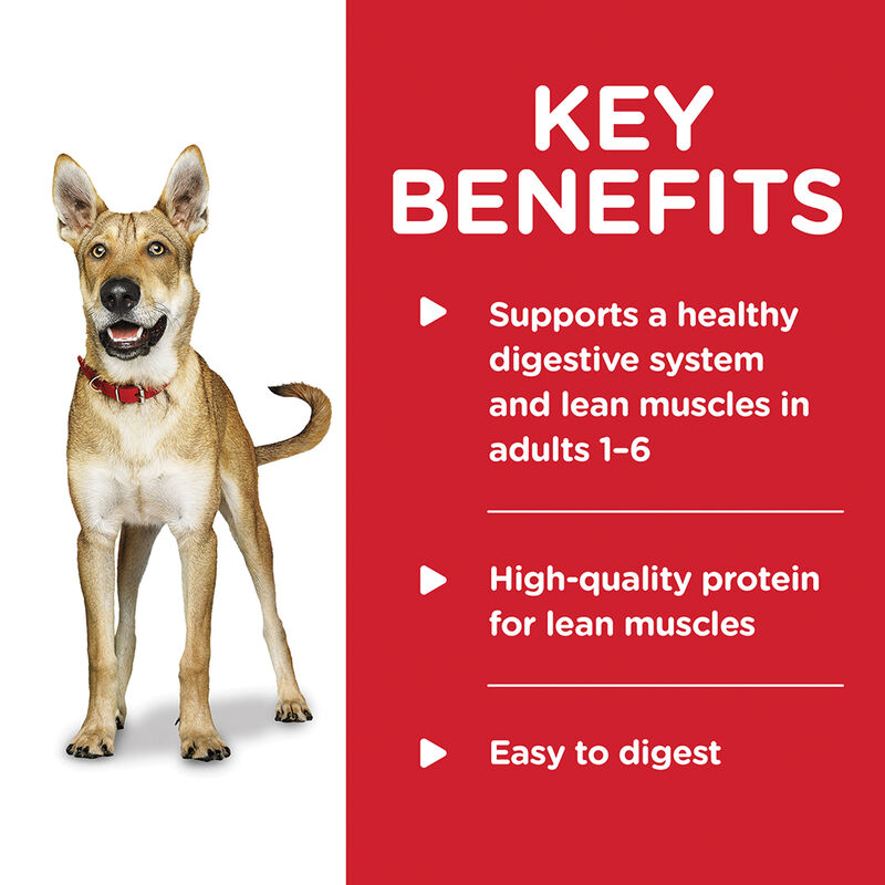 Science Diet, Adult Savory Stew with Beef & Vegetables Canned Dog Food, 363 g - Wet Dog Food image number null