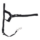 Dog Head Halter, Black, XX-Large - Collar: 22"-30", Snout: 12"-15" image number null