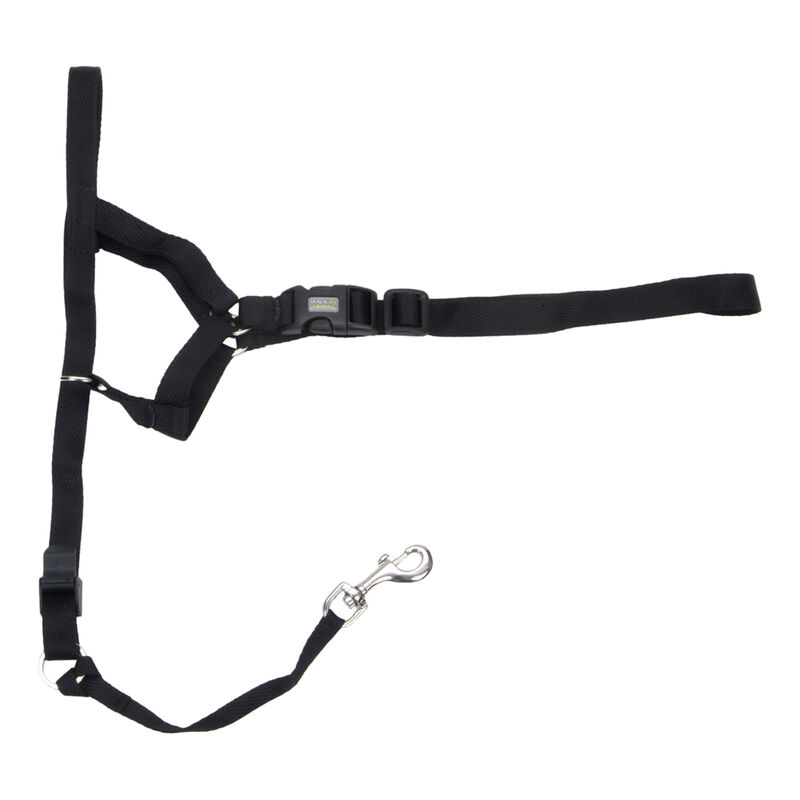 Dog Head Halter, Black, XX-Large - Collar: 22"-30", Snout: 12"-15" image number null