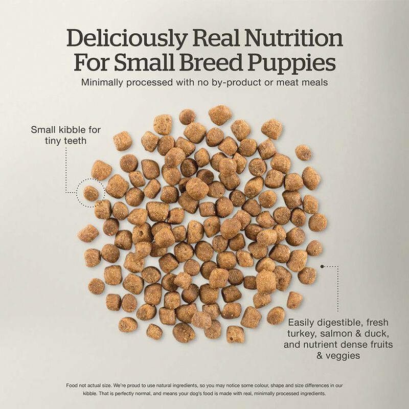 NOW FRESH, Puppy GF Small Breed - Dry Dog Food image number null