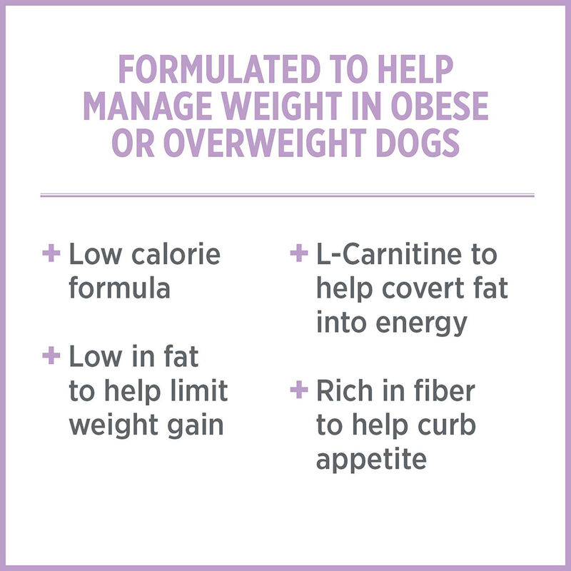 Nutrience, Care - Weight Management - Dry Dog Food image number null