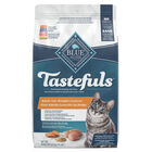 Blue Buffalo Tastefuls Weight Control Natural Adult Dry Cat Food, Chicken & Brown Rice image number null