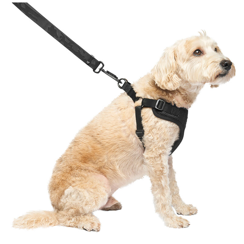 Canada Pooch, Easy-On Step-In Harness Black image number null