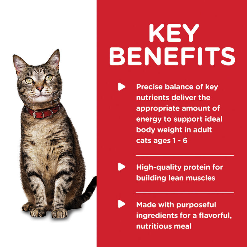 Science Diet, Adult Savory Salmon Canned Cat Food, 156g - Wet Cat Food image number null