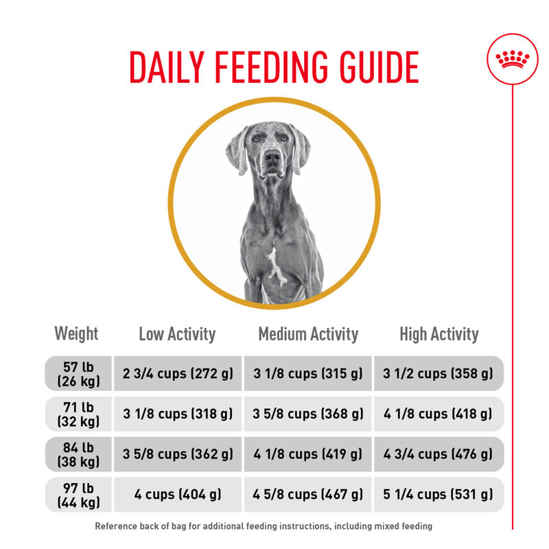 Royal Canin, Canine Care Nutrition Sensitive Skin Care Adult Large - Dry Dog Food image number null