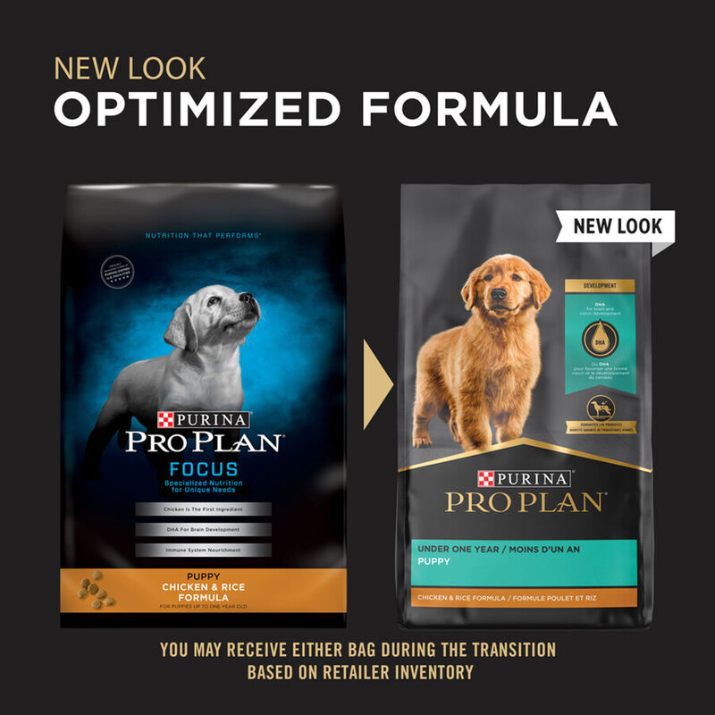 Purina Pro Plan Development Under One Year Puppy, Chicken & Rice Dry Dog Food Formula image number null