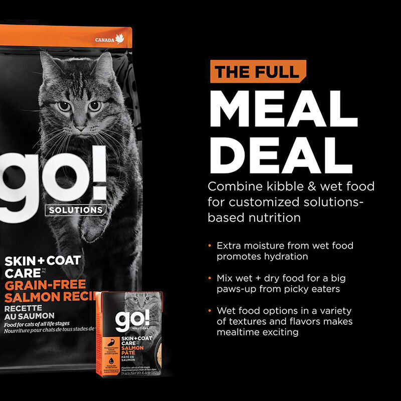 GO! SOLUTIONS SKIN + COAT CARE Grain Free Salmon Recipe for cats image number null