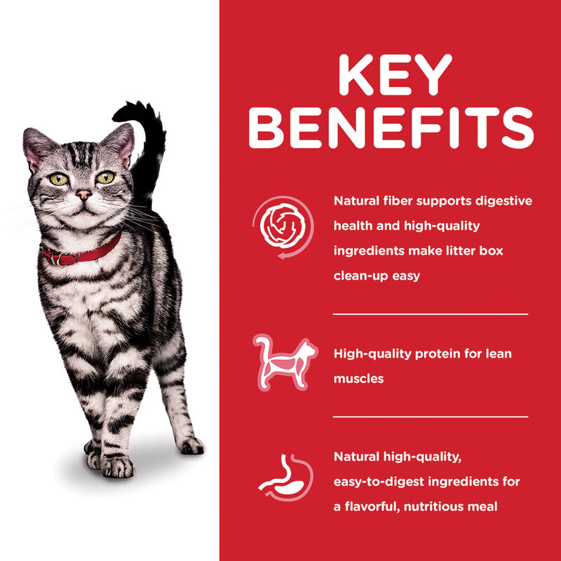 Science Diet, Adult Indoor Chicken Recipe Dry Cat Food - Dry Cat Food image number null