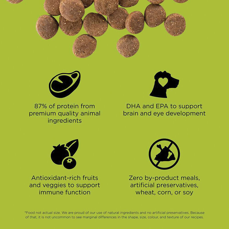 GO! SOLUTIONS, CARNIVORE Grain Free Chicken, Turkey + Duck Puppy recipe for dogs - Dry Dog Food image number null