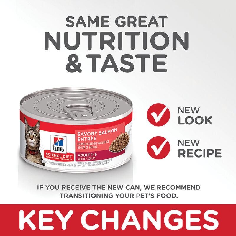 Science Diet, Adult Savory Salmon Canned Cat Food, 156g - Wet Cat Food image number null