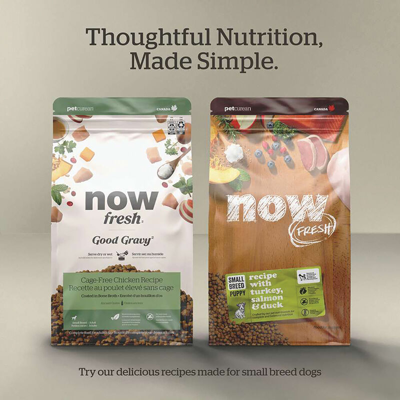 NOW FRESH, Senior GF Small Breed - Dry Dog Food image number null