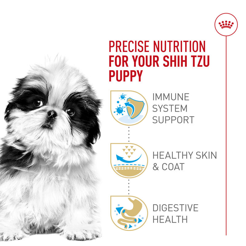 Royal Canin, Breed Health Nutrition Shih Tzu Puppy - Dry Dog Food image number null