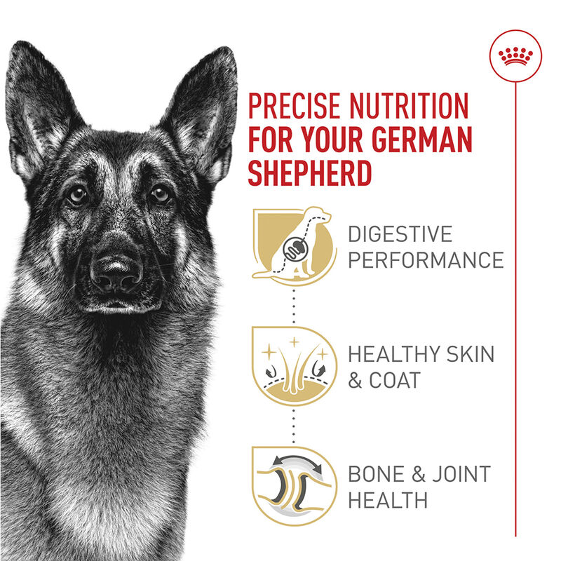 Royal Canin, Breed Health Nutrition German Shepherd Adult - Dry Dog Food image number null