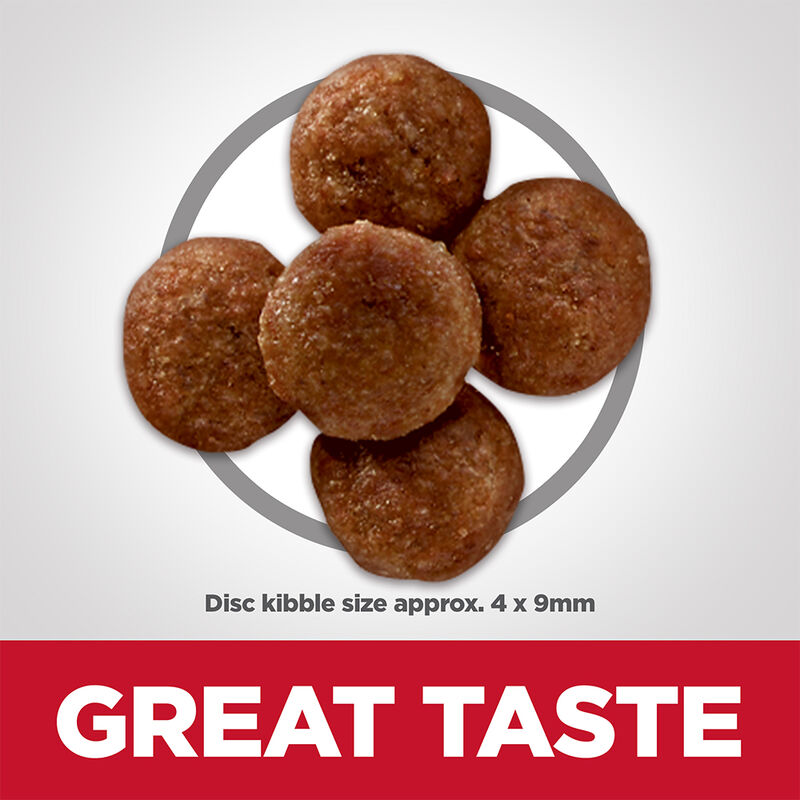 Science Diet, Adult Small Bites - Perfect Digestion - Chicken - 1.58 kg - Dry Dog Food image number null