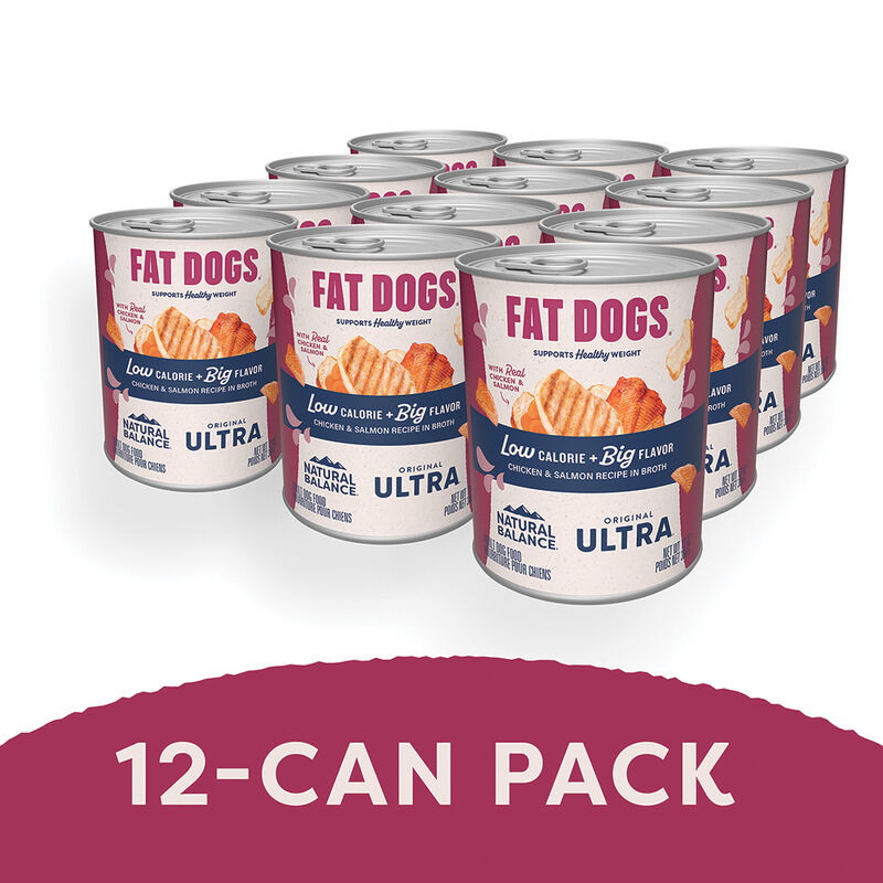 Natural Balance, Can, Adult - Fat Dog - Chicken & Salmon - 368 g - Wet Dog Food image number null