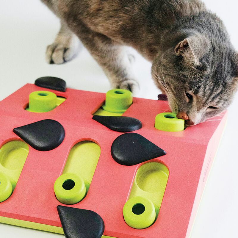 PetStages, Puzzle & Play Melon Madness - Pink image number null