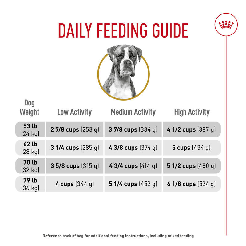 Royal Canin, Breed Health Nutrition Boxer Adult - Dry Dog Food image number null