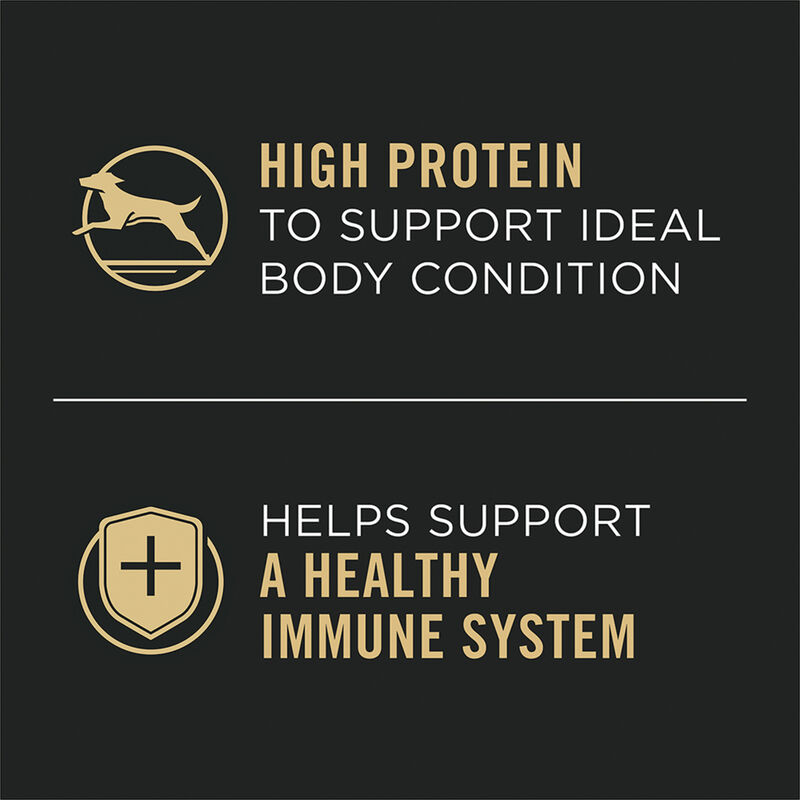 Pro Plan, Adult Complete Essentials - Turkey & Vegetables - 368 g - Wet Dog Food image number null