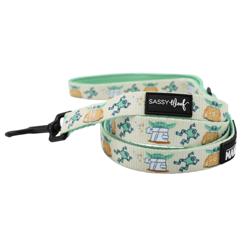 Sassy Woof, Star Wars Collar and Leash Set for Dogs - Small image number null