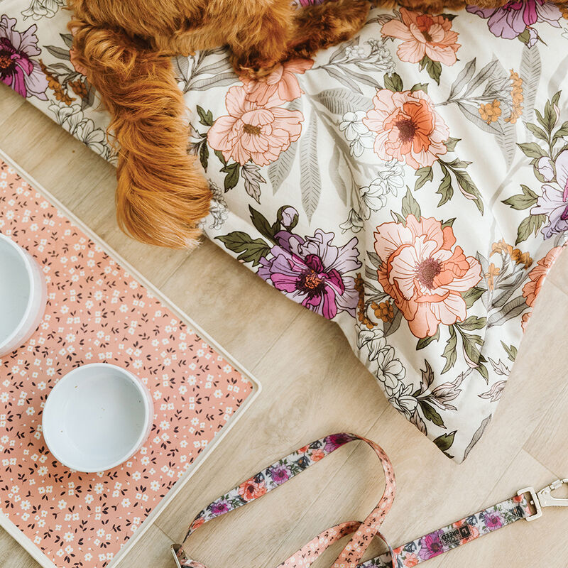 BeOneBreed, Ceramic and Silicone Bowl - Peach image number null