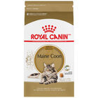 Royal Canin, Feline Breed Nutrition Maine Coon - Dry Cat Food image number null