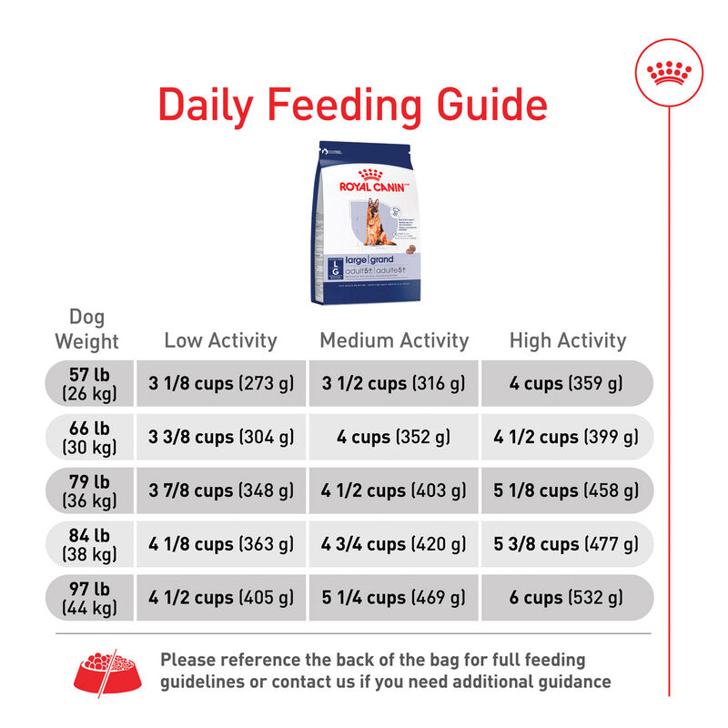 Royal Canin, Size Health Nutrition Large Adult 5+ - 13.6 kg - Dry Dog Food image number null