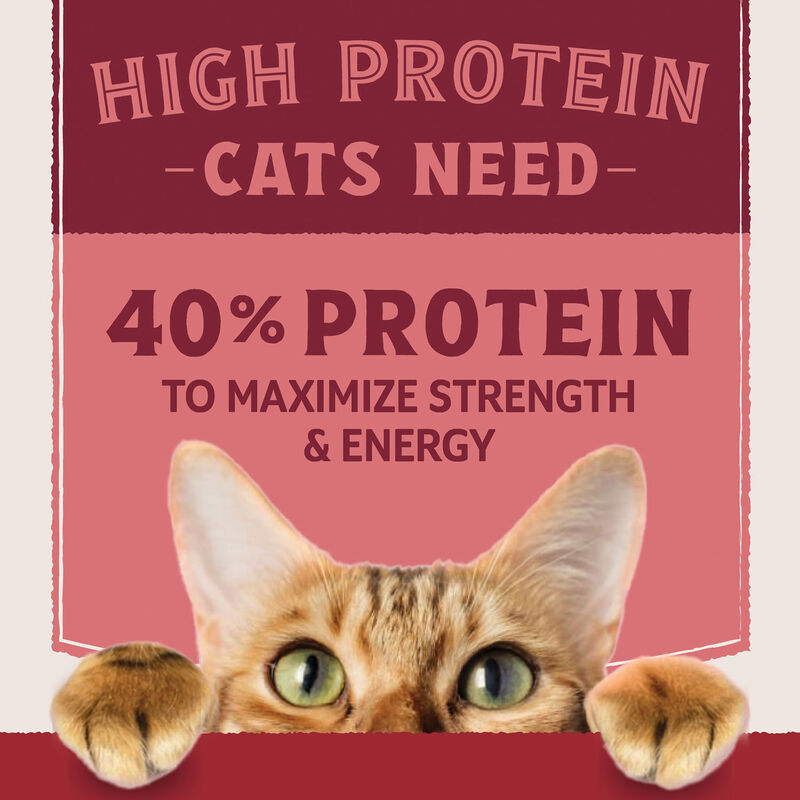 Natural Balance, Ultra Protein - Salmon & Chicken Meal Recipe - Dry Cat Food image number null