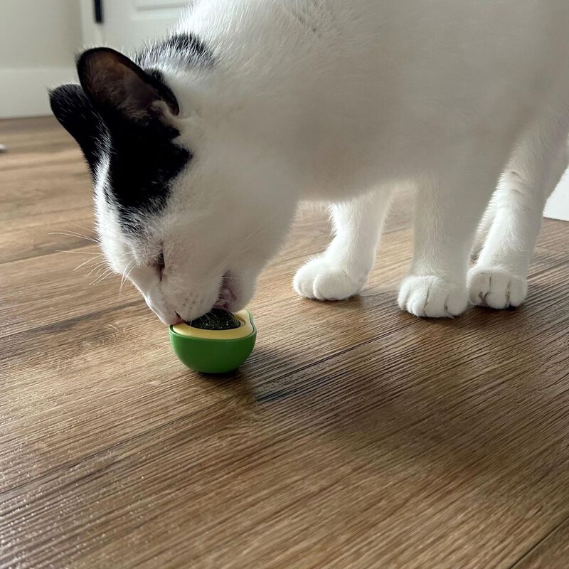 Zoom Pets, Avocado - Cat Toy image number null