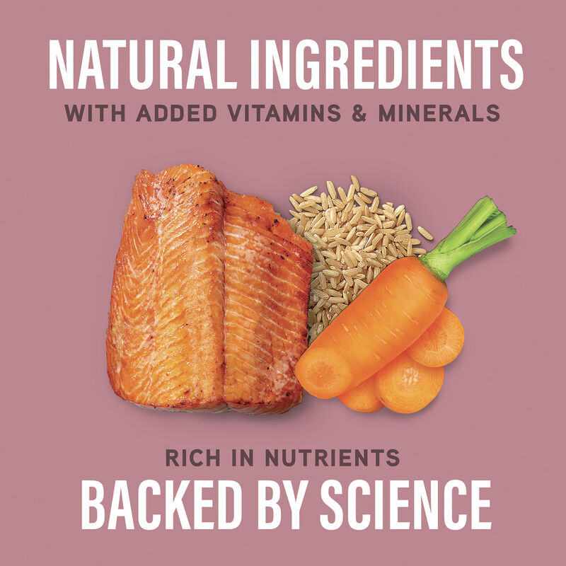 Natural Balance, Specialized Nutrition - Sensitive Skin & Stomach Formula with Salmon & Brown Rice - image number null