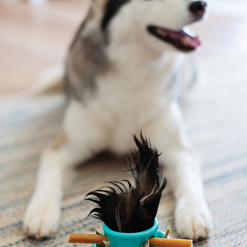 Messy Mutts, Totally Pooched Puzzle 'n Play Mushroom - Teal image number null