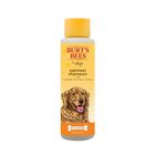 Burt's Bees, Oatmeal Dog Shampoo - 473 ml image number null