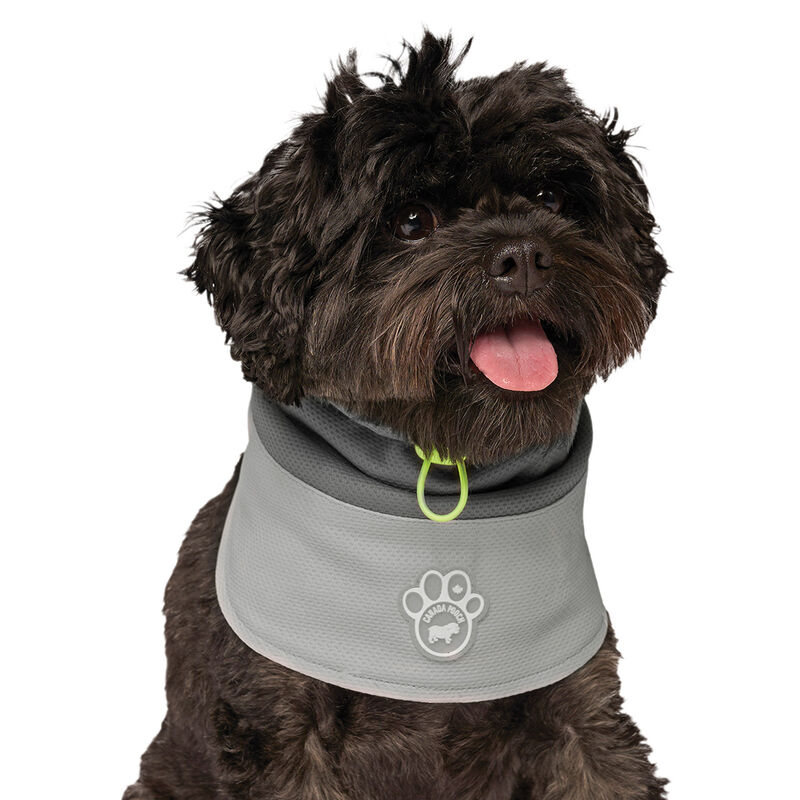 Canada Pooch, Max Chill Cooling Snood Grey image number null