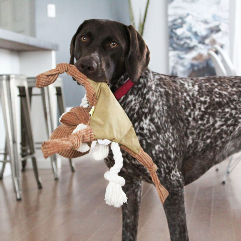 Plush Moose Toy image number null