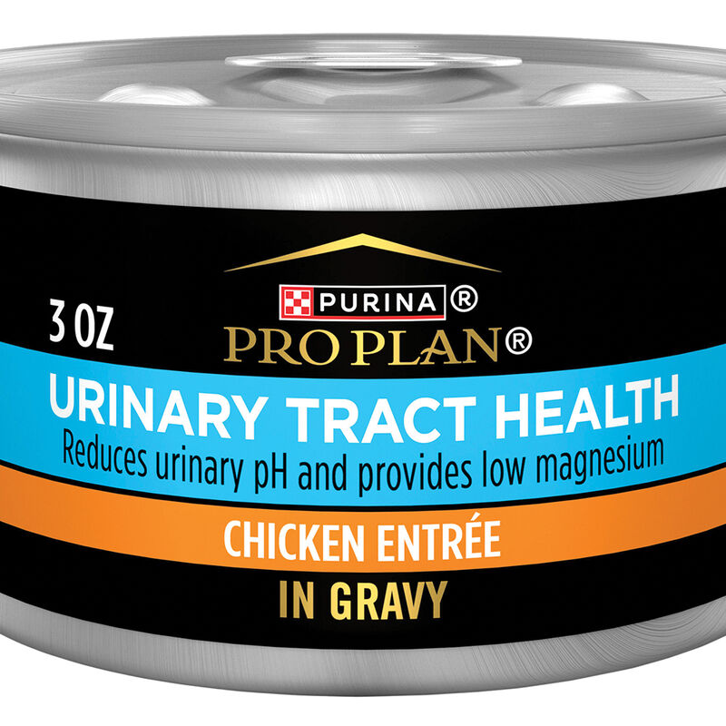 Pro Plan, Urinary Tract Health Chicken Entrée - 85 g - Wet Cat Food image number null
