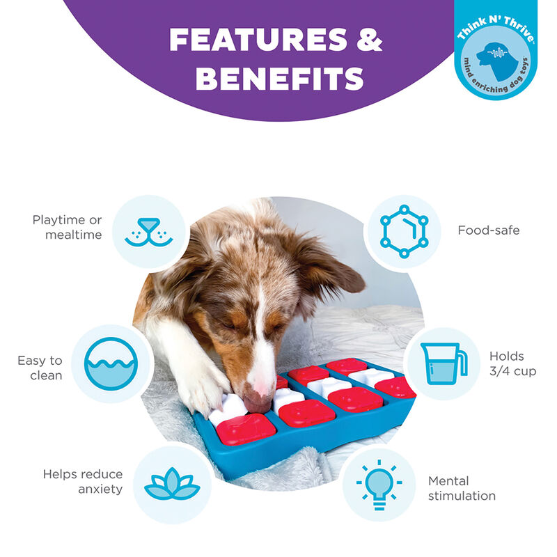 Outward Hound, Nina Ottosson, Dog Brick Treat Puzzle - Blue image number null