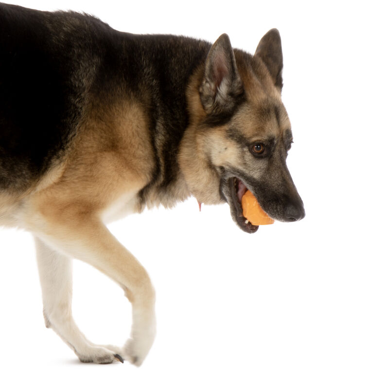 goDog Silent Squeaker Balls - Dog Toy image number null