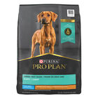 Purina Pro Plan Development Under Two Years Puppy, Large Breed Dry Dog Food Formula 8.16kg image number null