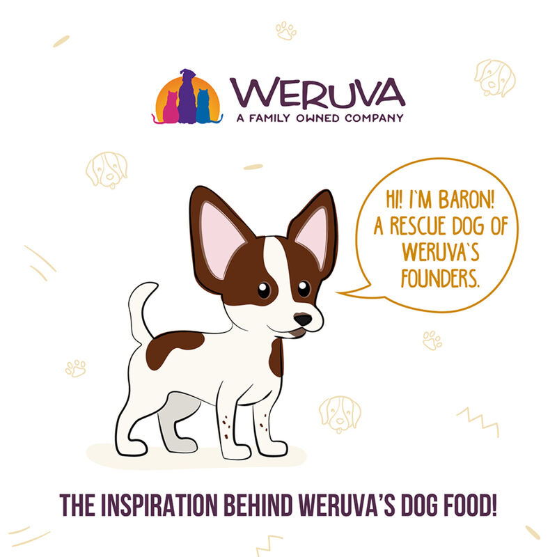 Weruva, Can, Adult - Steak Frites - Shreds - Wet Dog Food image number null