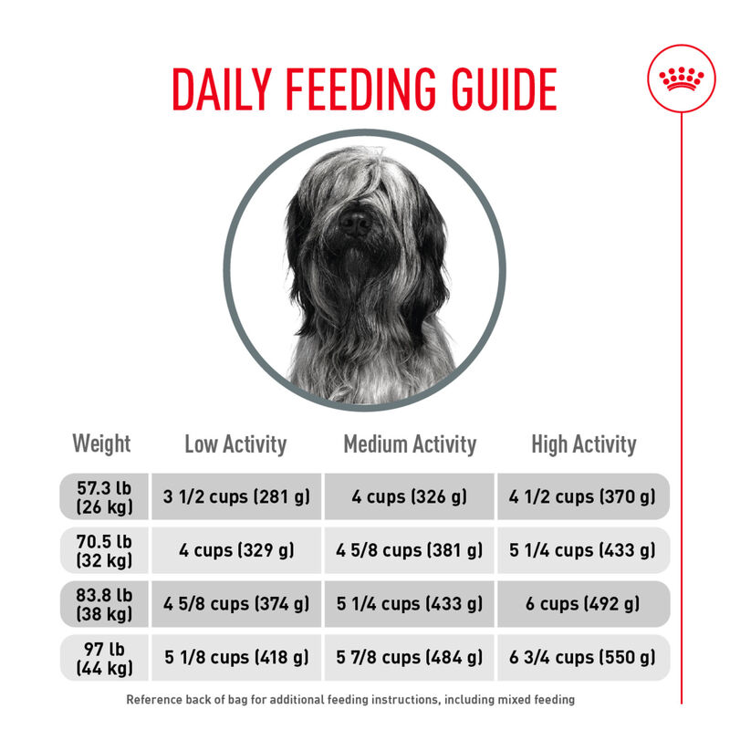 Royal Canin, Canine Care Nutrition Dental Large Dog Food - Dry Dog Food image number null