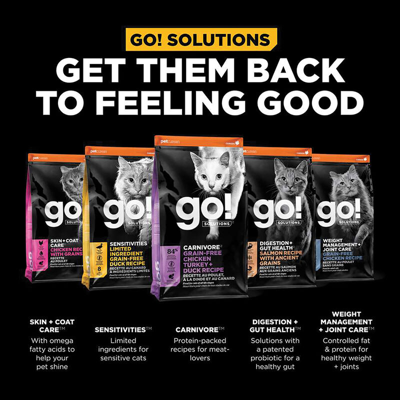 GO! SOLUTIONS CARNIVORE Grain Free Chicken, Turkey + Duck Recipe for cats image number null