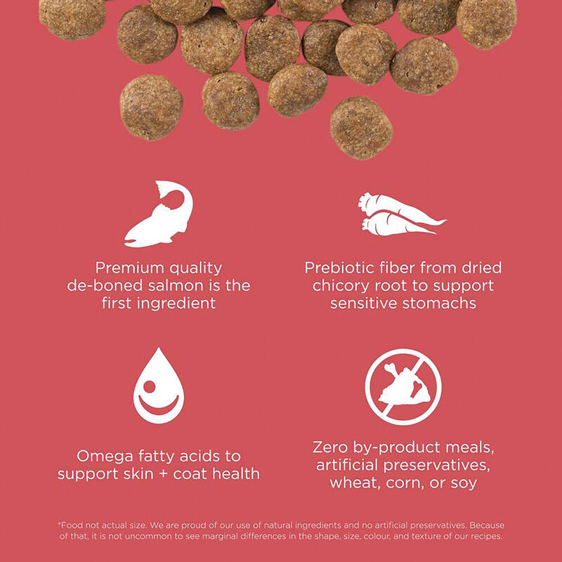 GO! SOLUTIONS, SENSITIVITIES Limited Ingredient Grain Free Salmon Recipe for dogs - Dry Dog Food image number null