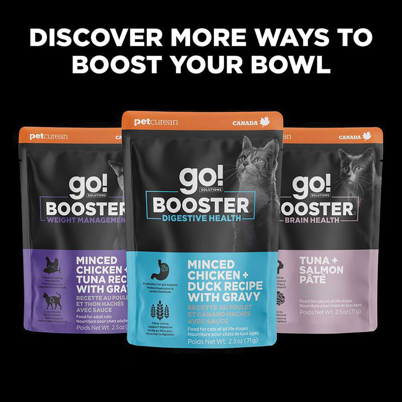 GO! SOLUTIONS,  BOOSTER Immune Health Tuna Pate - 71 g - Wet Cat Food image number null
