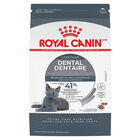 Royal Canin, Feline Care Nutrition - Dental Care - Dry Cat Food image number null