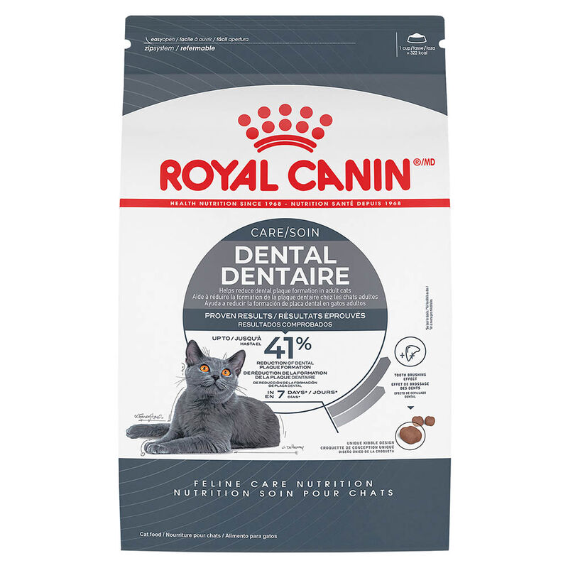 Royal Canin, Feline Care Nutrition - Dental Care - Dry Cat Food image number null