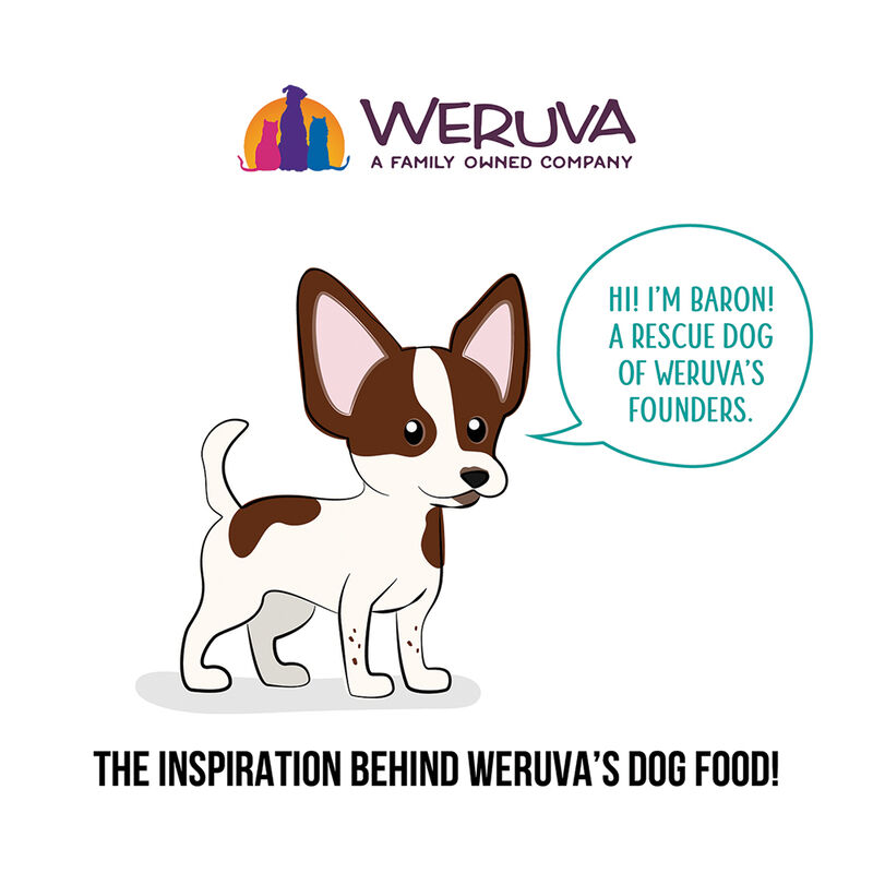 Weruva, Can, Adult - Funk in the Trunk - 283 g - Minced - Wet Dog Food image number null
