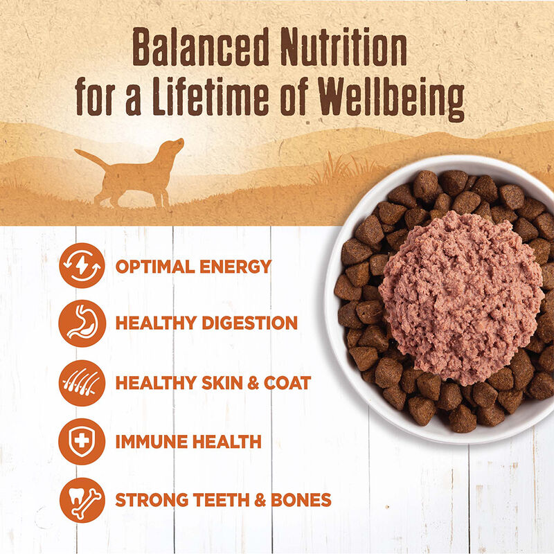 Wellness, Canned Dog Food, Mixers & Toppers, 95% Turkey - 13 oz - Wet Dog Food image number null