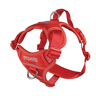 RC Pets, Harness Momentum - Goji Berry - Dog Harness