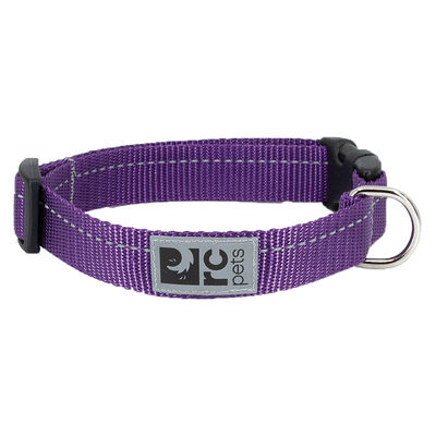RC Pets, Primary Clip Collar - Purple - Dog Collar