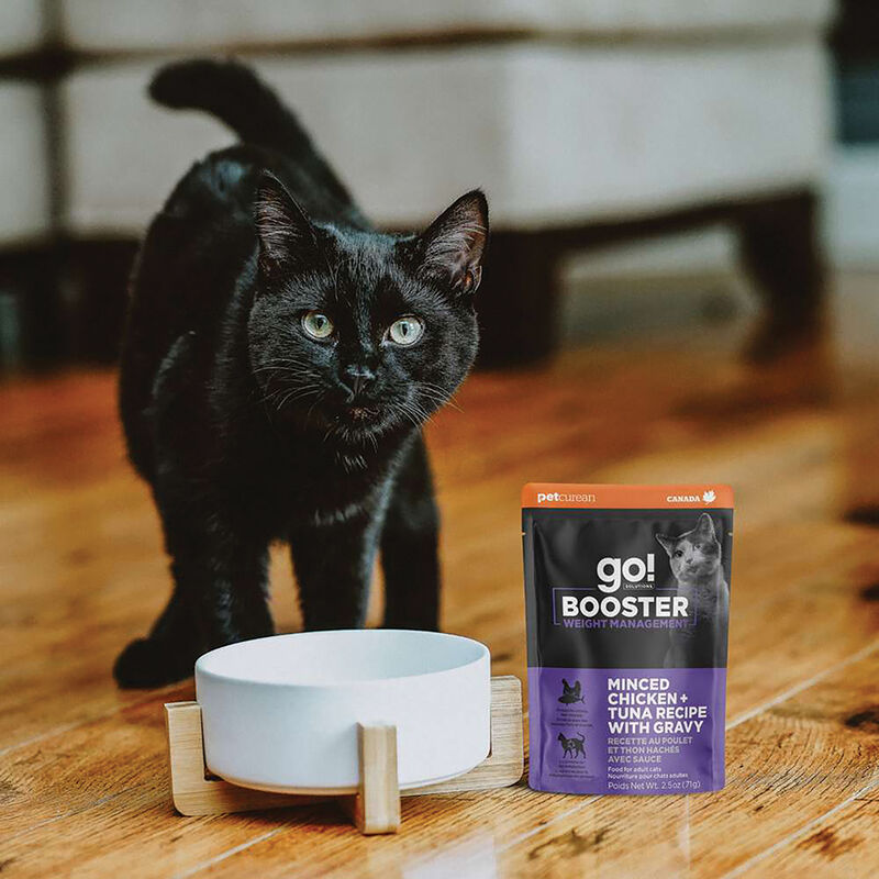 GO! SOLUTIONS,  BOOSTER Weight Management Minced Chicken + Tuna with gravy - 71 g - Wet Cat Food image number null