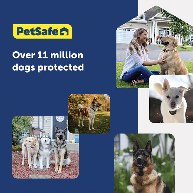 PetSafe, Deluxe In-Ground Fence System image number null